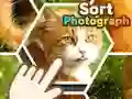 Permainan Mengurutkan Foto secara online Permainan Mengurutkan Foto secara online