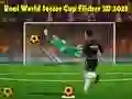 Permainan Piala Dunia Sepak Bola Nyata Flicker 3D 2023 secara online