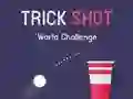 Permainan Tantangan Dunia Trick Shot secara online Permainan Tantangan Dunia Trick Shot secara online