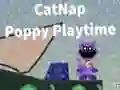 Permainan Tidur Kucing: Poppy Playtime: Puzzle secara online