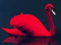Permainan Puzzle Burung Cinta secara online