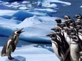 Permainan Seluncuran Penguin secara online