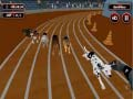 Permainan Demam Balap Anjing Gila secara online