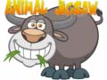Permainan Puzzle Hewan secara online
