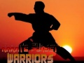 Permainan Karate Pejuang Senja secara online