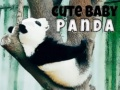 Permainan Panda Bayi Lucu secara online