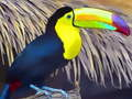Permainan Puzzle Burung Toucan secara online
