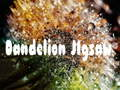 Permainan Puzzle Dandelion secara online