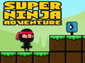 Permainan Ninja Petualangan Super secara online