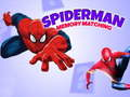 Permainan Permainan Memori Spiderman secara online