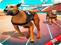 Permainan Balapan Anjing Gila secara online