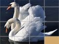 Permainan Puzzle Geser Hewan secara online