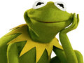 Permainan Buku Mewarnai untuk Kermit Sang Kodok secara online
