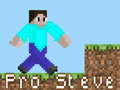 Permainan Pro Steve secara online