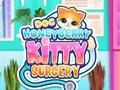 Permainan Dokter HoneyBerry Bedah Kucing secara online