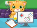 Permainan Dokter Kucing secara online