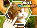 Permainan Mengurutkan Foto secara online