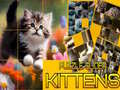 Permainan Teka Kucing Licin secara online