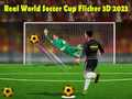 Permainan Piala Dunia Sepak Bola Nyata Flicker 3D 2023 secara online