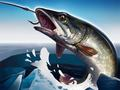 Permainan Memancing Es 3D secara online