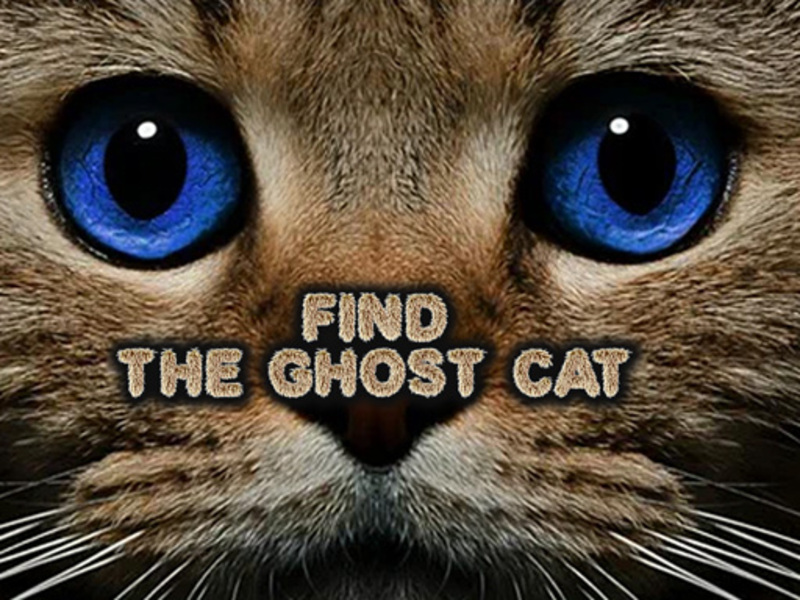 Permainan Temukan Kucing Hantu secara online