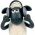 Shaun si Domba Shaun si Domba daring