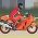Balap motor  daring