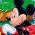 Miki Tikus Miki Tikus daring