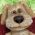 Anjing Anjing daring