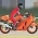 Balap motor  daring